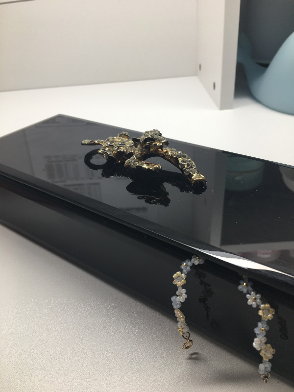 New Jaguar Jewelry Display/Home Decor Box in Home Décor & Accents in Ottawa - Image 3