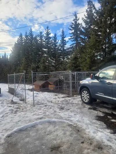 construction fence/dog run, View more