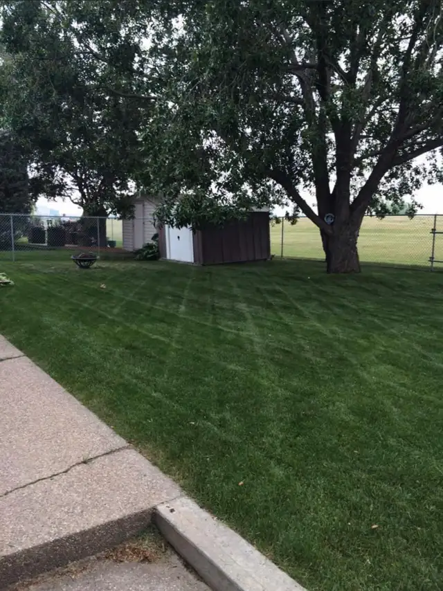 Red Deer Lawn Care62864360076802124
