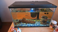 Aquarium 5 litres avec poisson et escargot