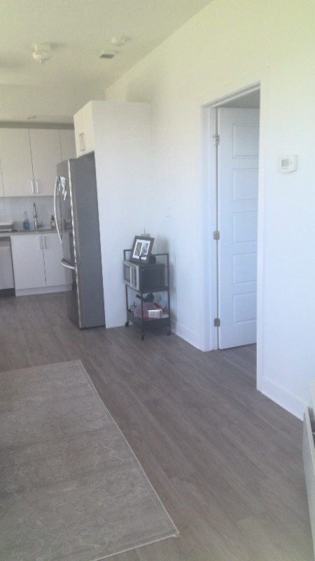 2 Bed 2 Bath Apartment for rent (Lease Take Over) $2695 dans Locations temporaires  à Ottawa - Image 4