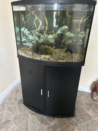 Fish tank plus fish