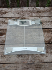 Taylor Large Digital Display Weight Scale