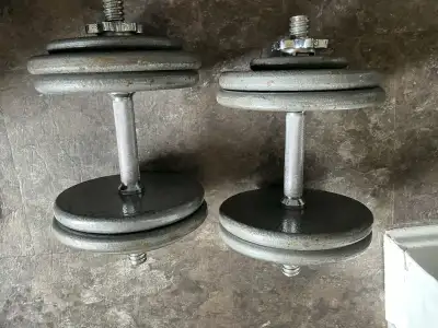 Weider Dumbbells, View more