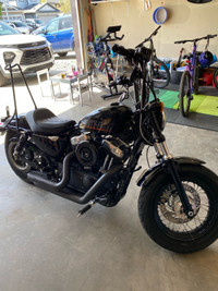 2014 Harley Davidson 48 1200cc
