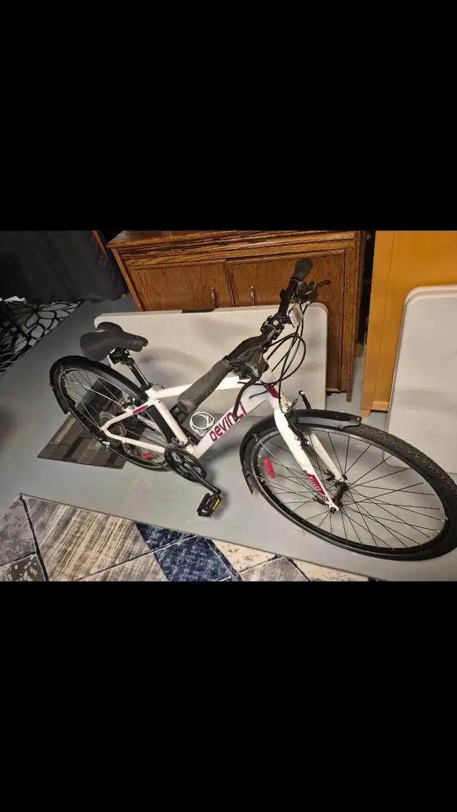 21 speed DaVinci Bike 