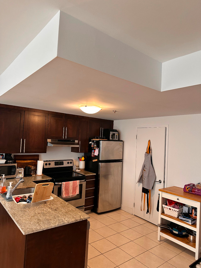Large 1-Bedroom, 1.5-Bath in (3 1/2) Apartment dans Locations longue durée  à Ville de Montréal - Image 4