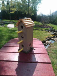 New bird house
