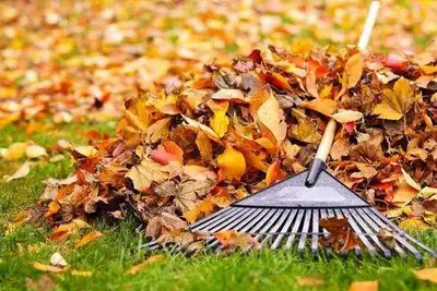 yardwork helper leaf raker available anytime , View more