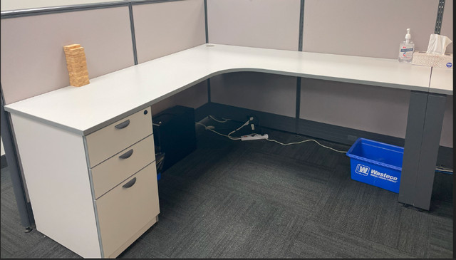 Office Desks in Desks in Hamilton