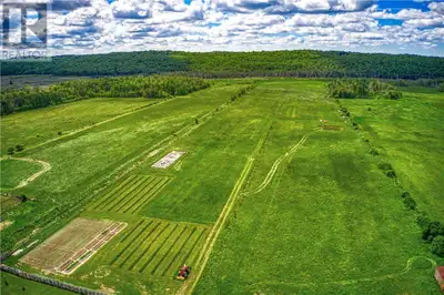 Minions Wanted, View more