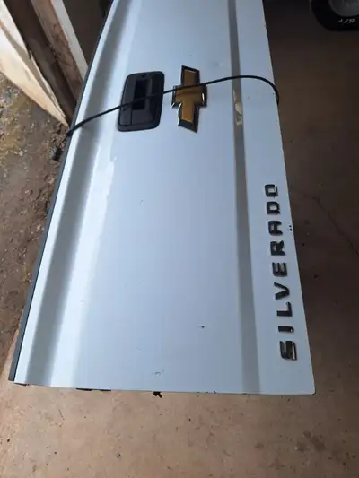 Chev Tail gate with backup camera, off a 2018 chev truck asking $ 400.00
