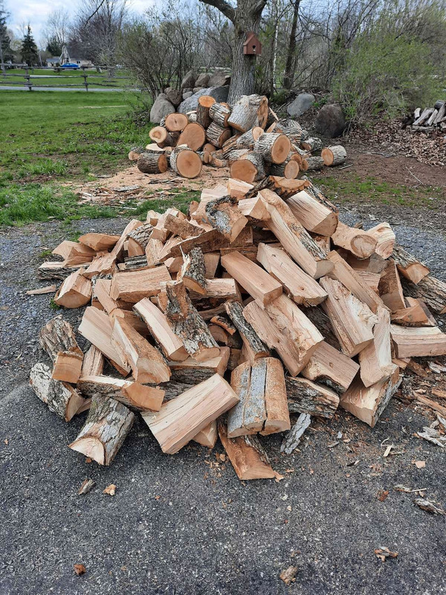 Ash firewood  in Other in Kingston - Image 2