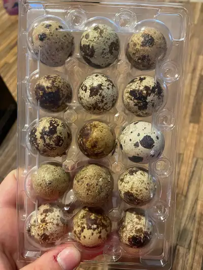 œuf frais , View more