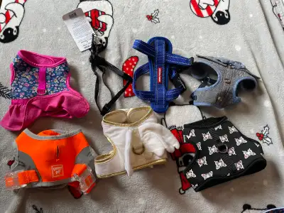XS Dog Harnesses Lot, View more