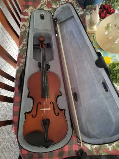 Paititi Artist 100 Full Size 4/4 Violin, View more
