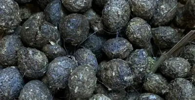 Fertilizer, View more