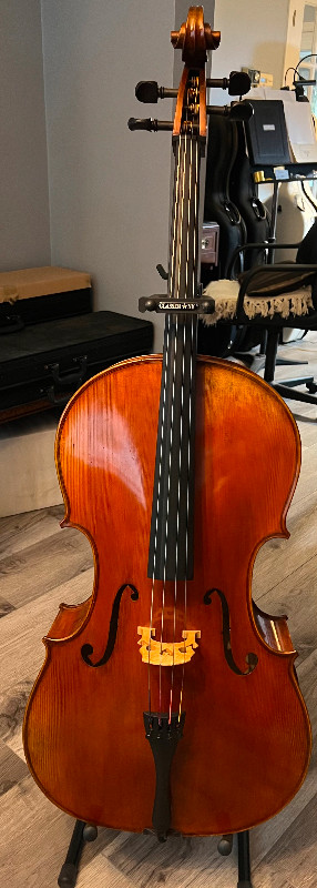 Cellos and Violins in String in Sarnia - Image 4