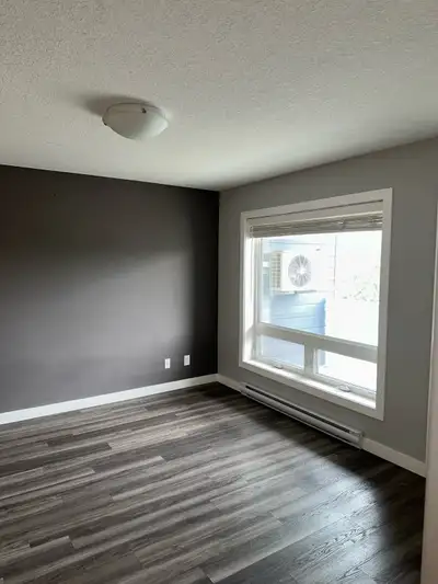 2 rooms available in a 3 Bedroom apartment  For July/August.