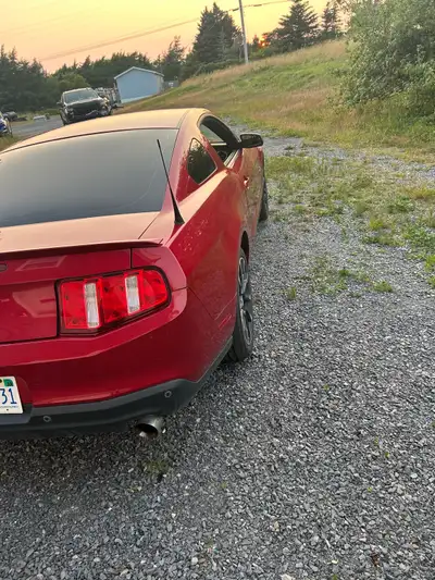 2012 ford mustang great shape then a little bit of paint chipped off the hood (barely noticeable) th...