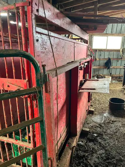 Farm Livestock Scales - balance beam, View more