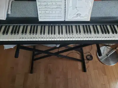 Digital Piano Roland FP-10 (with stand)