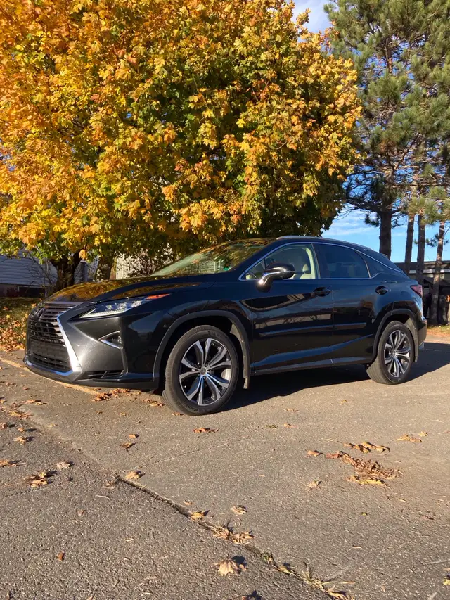 RX350.  201764656285128579121