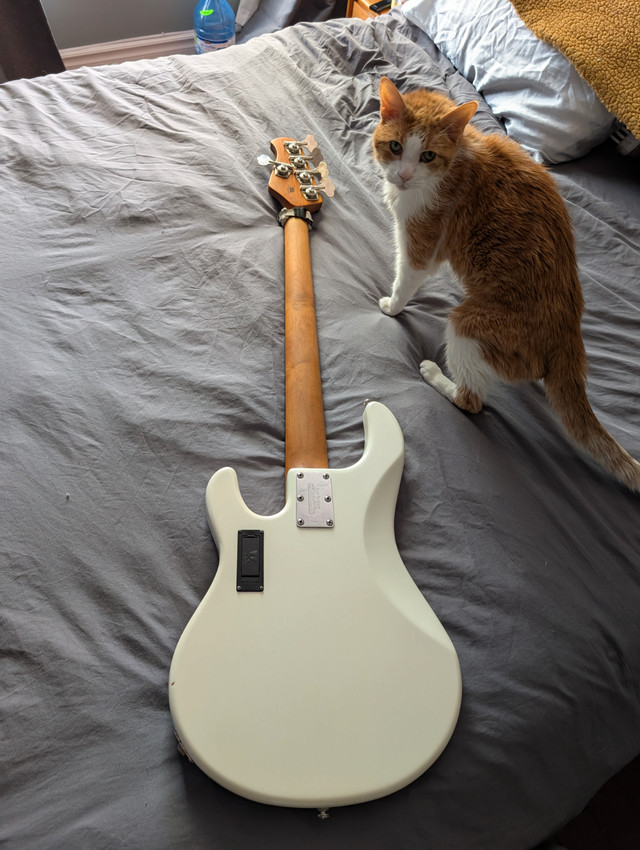 Music Man 5 String Stingray Bass Guitar in Guitars in City of Toronto - Image 2
