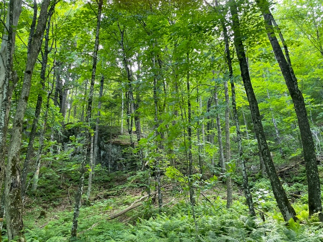 Terrain de 2 acres à vendre à Grenville avec accès notarié lac — photo 1
