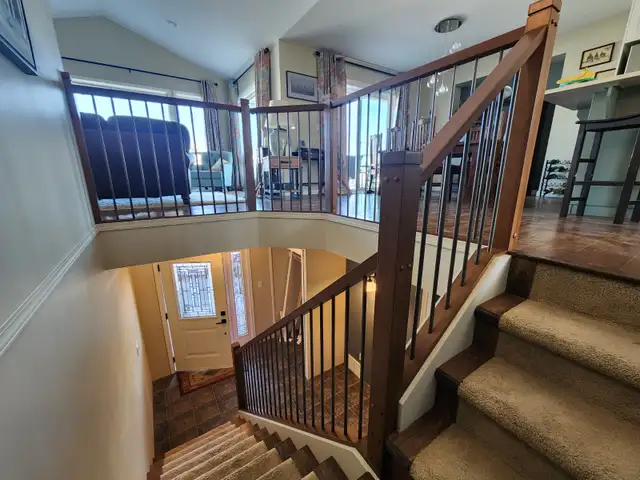 INTERIOR RAPTOR RAILINGS62864359418113129