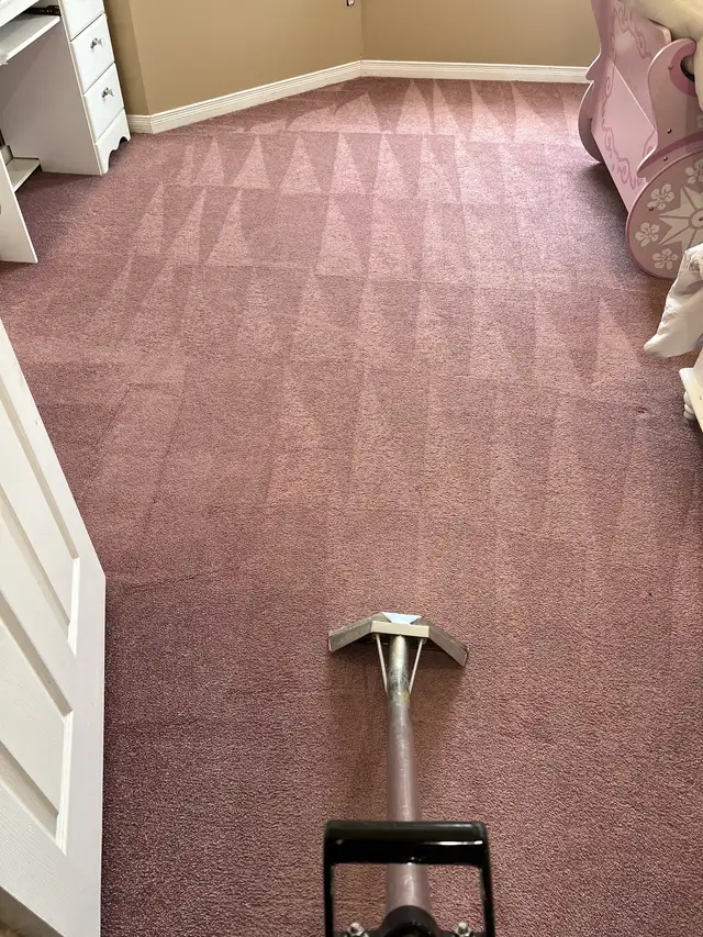 carpet and sofa and mattress cleaning 62865710835971126