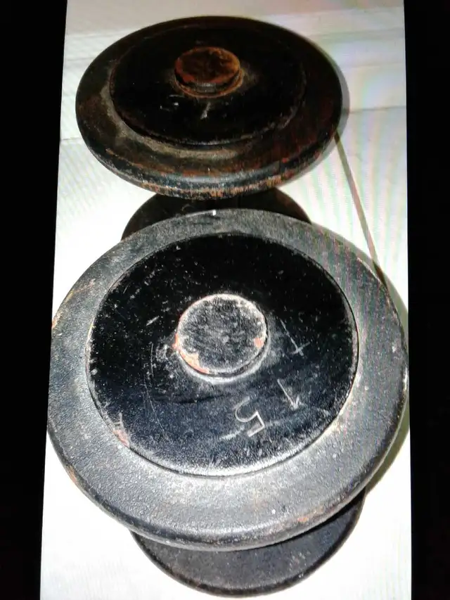 Pair of 15 pounds metal dumbbells: 2x 15 lbs for $30 