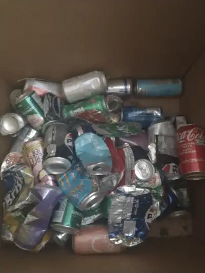 Collecting Aluminum cans, Alcohol cans and bottles (Falls Area), View more