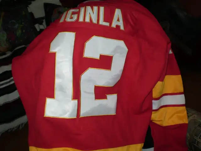 PLUSIEURS  CHANDAILS DE COLLECTIONNEUR LNH NEUFS in Hockey in Drummondville - Image 3