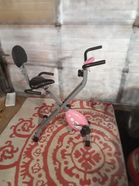 Sunny indoor cycling exercise bike Pink adjustable folding