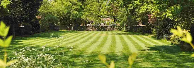lawn mowing628657102049291225