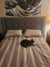 Tête de lit avec prises murales et USB