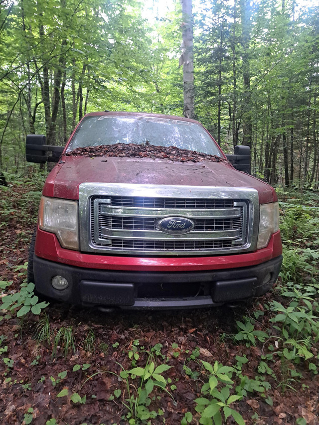 Ford f-150 2009 v8 in Cars & Trucks in Gatineau