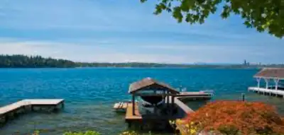 Searching for a waterfront lot on Winnipeg river or black sturgeon lake Tear down cabin or one that...