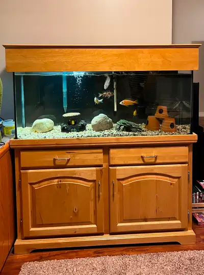 Aquarium set up, ready to go, View more