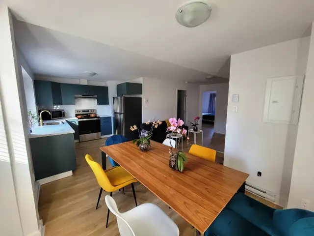 Brand New Furnished Amazing! Downtown McGill Ghetto 4 1/2 (2 BR)