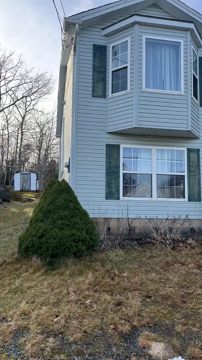 ROOM FOR RENT IN TIBERLEA
