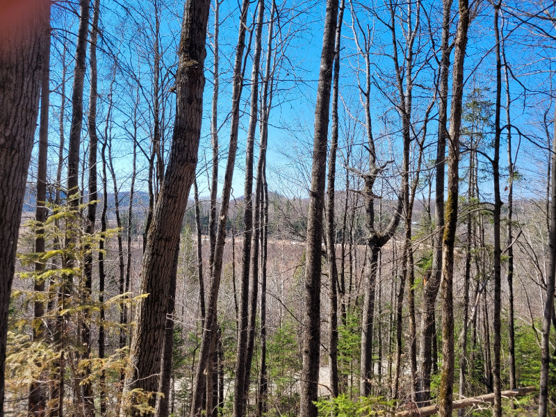 Land for sale 4,5 acre Land for Sale Gatineau Kijiji