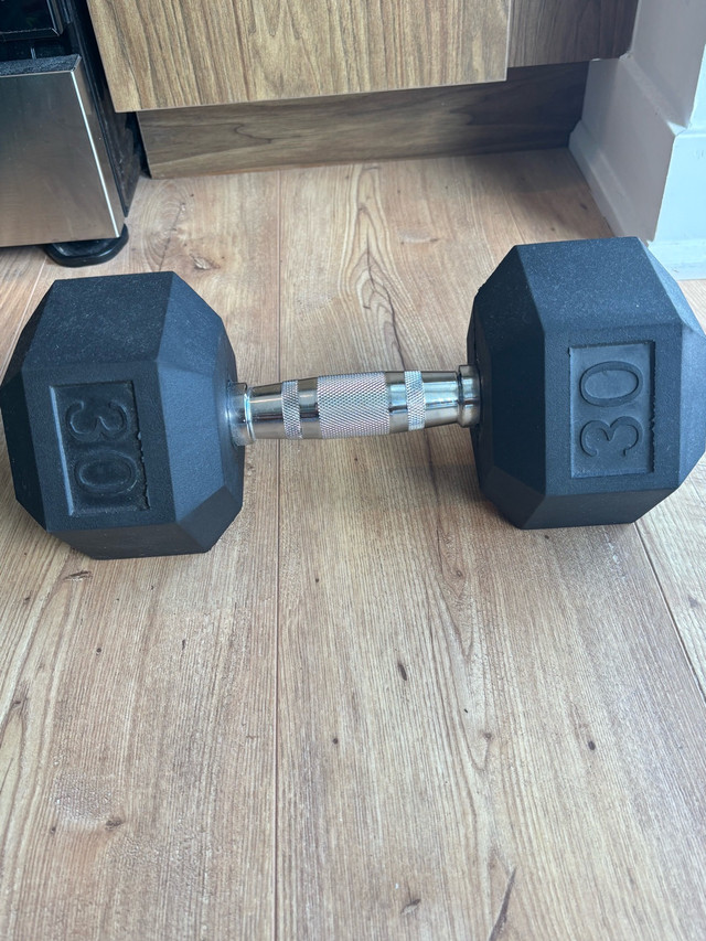 Evoke 30lb Rubber Hex Dumbbell in Exercise Equipment in Ottawa
