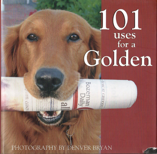 101 Uses For A Golden (retriever) in Non-fiction in St. Catharines