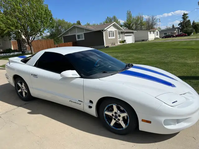 beautiful 98 firebird576046251315056645