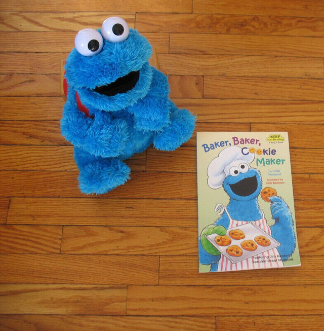 Sesame Street books and DVD  Collection in Children & Young Adult in Norfolk County - Image 3