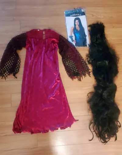 Gothic girl Halloween costume with 32” wig, View more