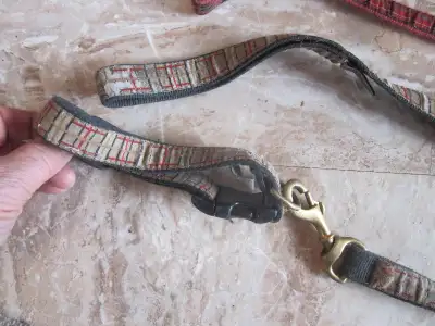 Laisses pour chien, View more