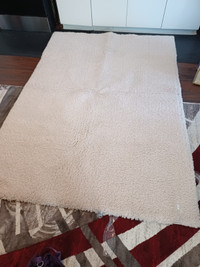 Brand New Super Soft Touch Area Rug - $99